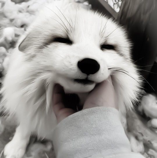 Обкладинка: Test